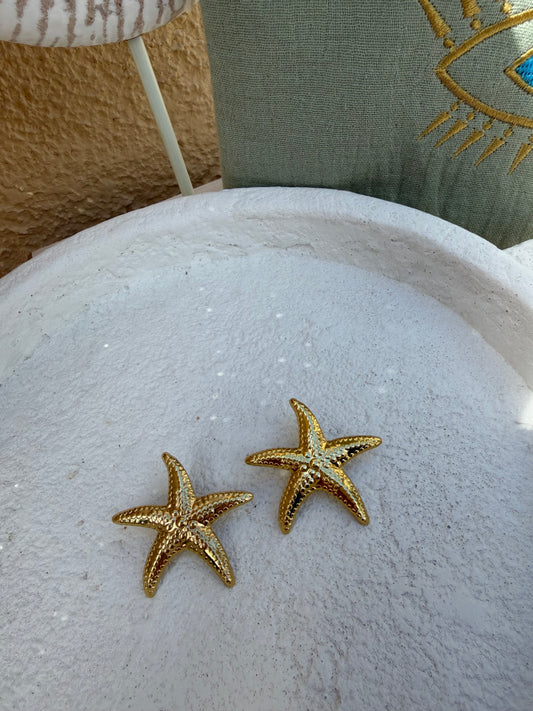 Boucles Stella Marina ⭐️